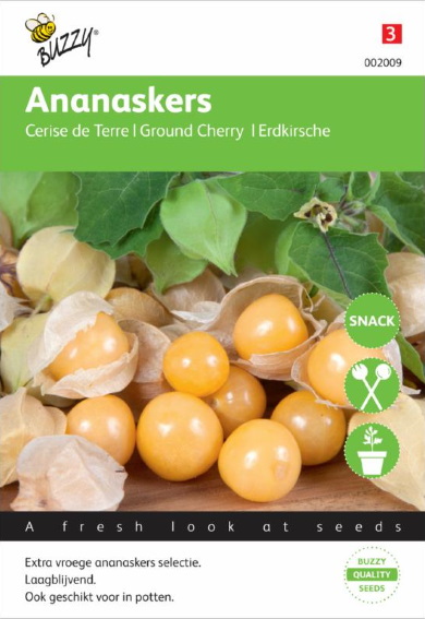 Ananaskers (Physalis pruinosa) 125 zaden BU